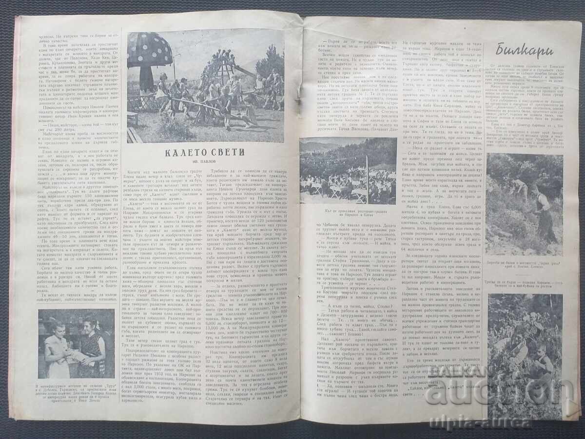 Auction  1955 People's Cooperation