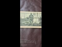 ΝΟΣΙΑ - ΒΑΛΚΑΝΙΚΟΥ ΤΥΠΟΥ - ΡΟΥΜΙ - ΤΣΙΓΓΑΝΟΣ