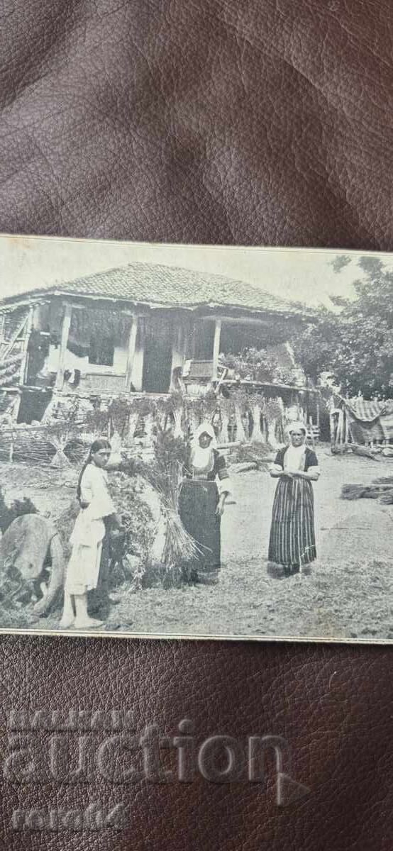 ΝΟΣΙΙΙ - ΑΝΑΓΕΝΝΗΤΙΚΟ ΣΠΙΤΙ - ΚΟΡΙΤΣΙ με τιμή 45.00 BGN | € 23.01 ΝΟΣΙΙΙ - ΑΝΑΓΕΝΝΗΤΙΚΟ ΣΠΙΤΙ - ΚΟΡΙΤΣΙ με τιμή 45.00 BGN | € 23.01