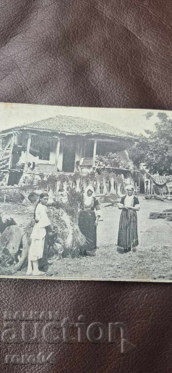 NOSIIII - CASĂ DE RENAȘTERE - FETIȚĂ cu preț € 23.99 | 46.92 BGN