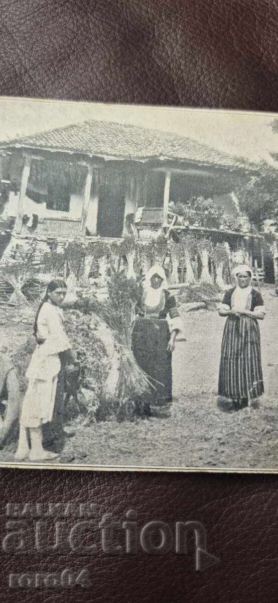 Licitație NOSIIII - CASĂ DE RENAȘTERE - FETIȚĂ