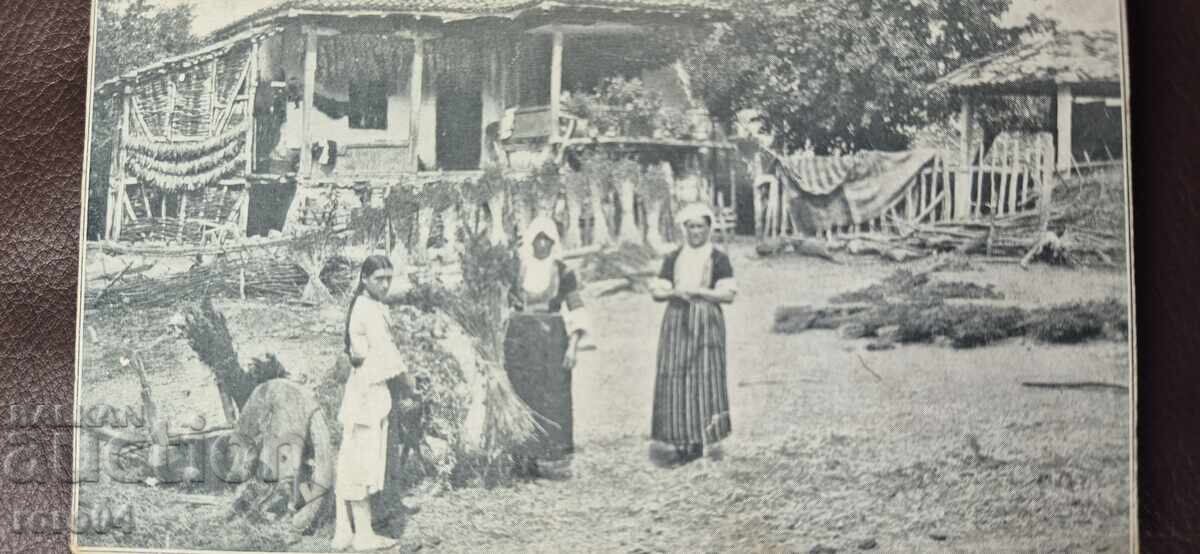 Παράδοση ΝΟΣΙΙΙ - ΑΝΑΓΕΝΝΗΤΙΚΟ ΣΠΙΤΙ - ΚΟΡΙΤΣΙ Παράδοση ΝΟΣΙΙΙ - ΑΝΑΓΕΝΝΗΤΙΚΟ ΣΠΙΤΙ - ΚΟΡΙΤΣΙ