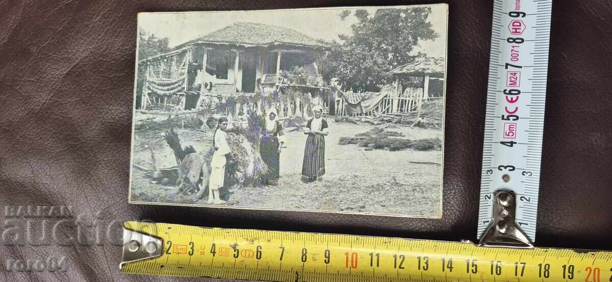 ΝΟΣΙΙΙ - ΑΝΑΓΕΝΝΗΤΙΚΟ ΣΠΙΤΙ - ΚΟΡΙΤΣΙ - 5 ΝΟΣΙΙΙ - ΑΝΑΓΕΝΝΗΤΙΚΟ ΣΠΙΤΙ - ΚΟΡΙΤΣΙ - 5