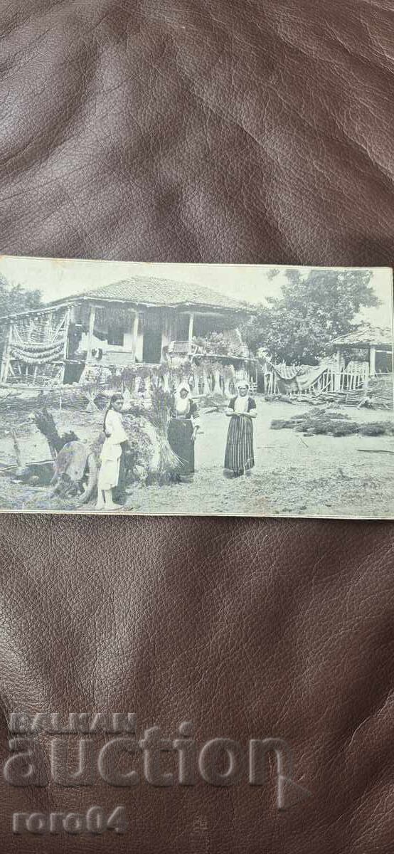 ΝΟΣΙΙΙ - ΑΝΑΓΕΝΝΗΤΙΚΟ ΣΠΙΤΙ - ΚΟΡΙΤΣΙ ΝΟΣΙΙΙ - ΑΝΑΓΕΝΝΗΤΙΚΟ ΣΠΙΤΙ - ΚΟΡΙΤΣΙ