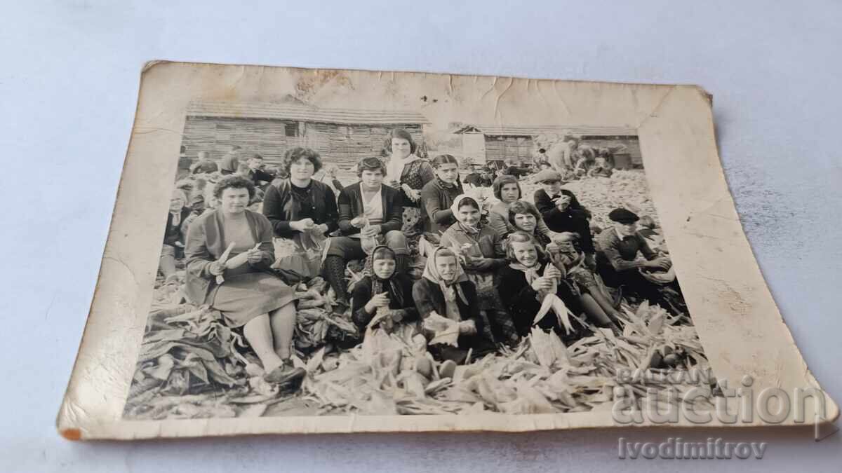 Φωτογραφία Γυναικών, αγοριών και κοριτσιών ξεφλουδίζουν καλαμπόκι με μαμούλια Φωτογραφία Γυναικών, αγοριών και κοριτσιών ξεφλουδίζουν καλαμπόκι με μαμούλια