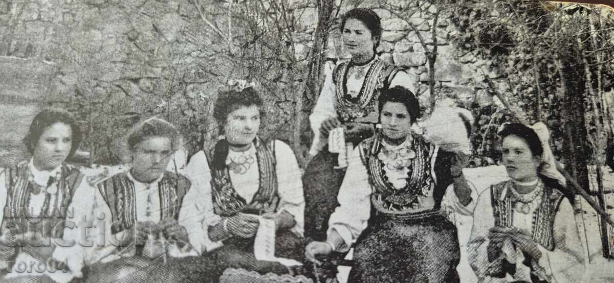 Licitație ȚEPENI - ROCHII POPULARE - FETE
