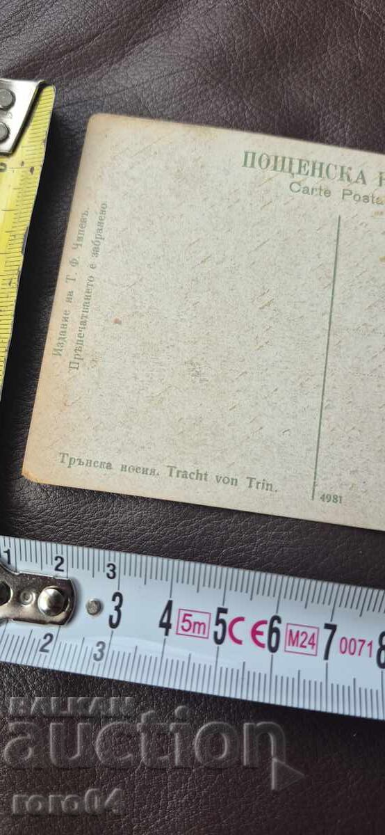 THORN - COSTUMES - GIRLS - 6 THORN - COSTUMES - GIRLS - 6