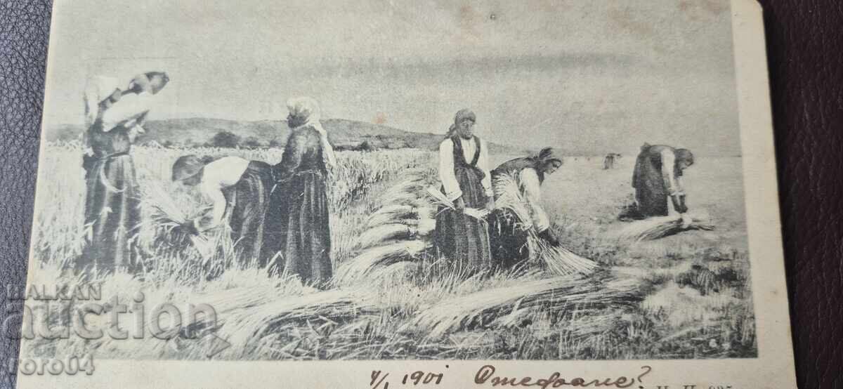 ΒΟΥΛΓΑΡΙΚΕΣ ΘΕΡΙΣΤΡΙΕΣ - ΦΟΡΕΣΙΕΣ - ΣΤΟΜΝΑ με τιμή 75.00 BGN | € 38.35 ΒΟΥΛΓΑΡΙΚΕΣ ΘΕΡΙΣΤΡΙΕΣ - ΦΟΡΕΣΙΕΣ - ΣΤΟΜΝΑ με τιμή 75.00 BGN | € 38.35