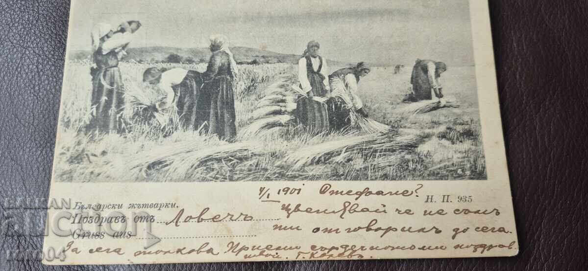 Δημοπρασία ΒΟΥΛΓΑΡΙΚΕΣ ΘΕΡΙΣΤΡΙΕΣ - ΦΟΡΕΣΙΕΣ - ΣΤΟΜΝΑ Δημοπρασία ΒΟΥΛΓΑΡΙΚΕΣ ΘΕΡΙΣΤΡΙΕΣ - ΦΟΡΕΣΙΕΣ - ΣΤΟΜΝΑ