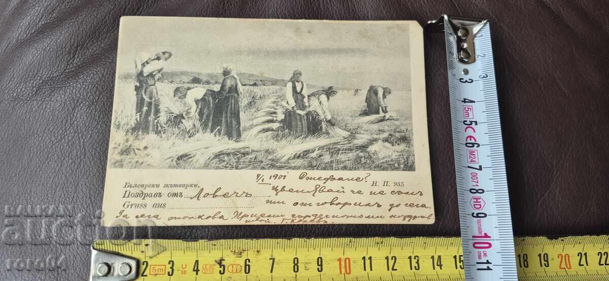 Παράδοση ΒΟΥΛΓΑΡΙΚΕΣ ΘΕΡΙΣΤΡΙΕΣ - ΦΟΡΕΣΙΕΣ - ΣΤΟΜΝΑ Παράδοση ΒΟΥΛΓΑΡΙΚΕΣ ΘΕΡΙΣΤΡΙΕΣ - ΦΟΡΕΣΙΕΣ - ΣΤΟΜΝΑ