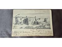 COASE BULGARE - IE - STOAMNĂ