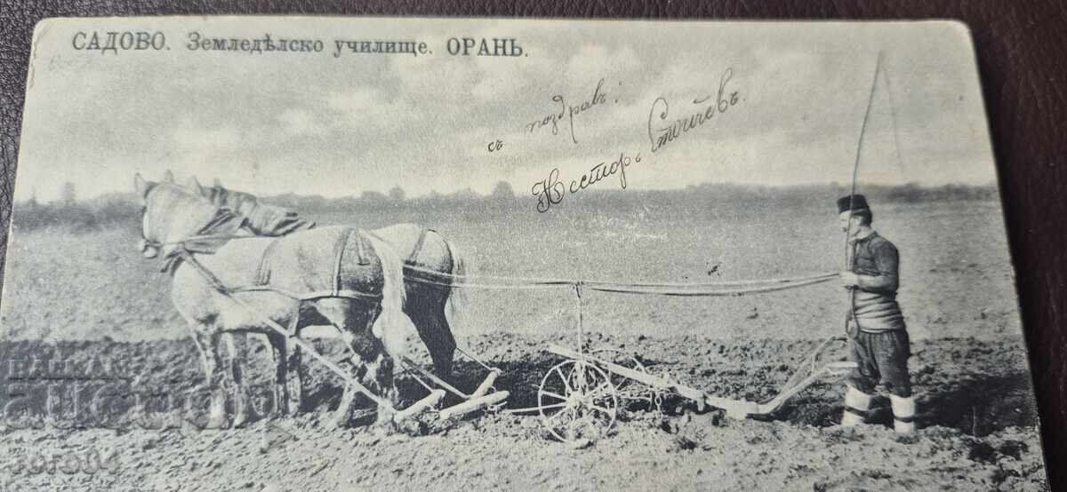 SADOVO - ȘCOALĂ AGRICOLĂ - ARAT - CAI - PORT POPULAR cu preț € 35.99 | 70.39 BGN