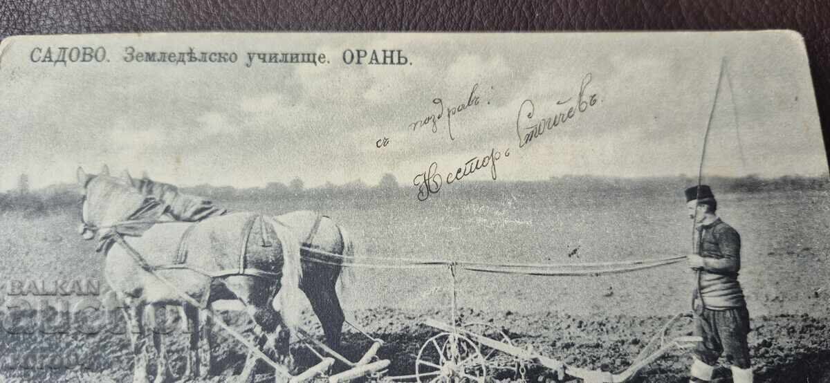 Licitație SADOVO - ȘCOALĂ AGRICOLĂ - ARAT - CAI - PORT POPULAR