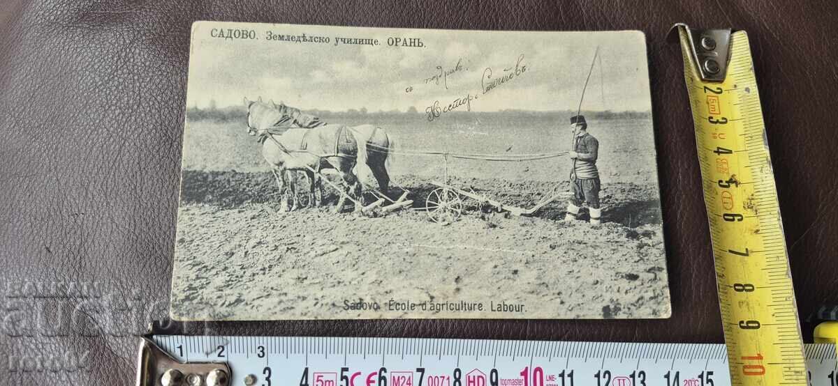 Livrarea SADOVO - ȘCOALĂ AGRICOLĂ - ARAT - CAI - PORT POPULAR