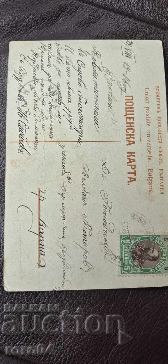 ΚΗΠΕΥΤΙΚΟ - ΑΓΡΟΤΙΚΟ ΣΧΟΛΕΙΟ - ΑΛΟΓΑ - ΑΓΕΛΑΔΕΣ - ΦΟΡΕΣΙΑ - 6