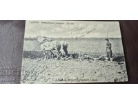 ΚΗΠΕΥΤΙΚΟ - ΑΓΡΟΤΙΚΟ ΣΧΟΛΕΙΟ - ΑΛΟΓΑ - ΑΓΕΛΑΔΕΣ - ΦΟΡΕΣΙΑ