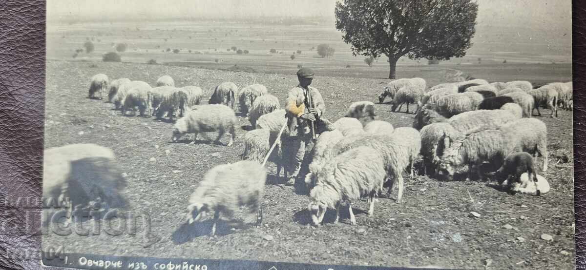 СОФИЯ - ОПЕРАТОР НА БИОЛОГИЧНА ЕДИНИЦА с цена 22.50 лв. | € 11.50 СОФИЯ - ОПЕРАТОР НА БИОЛОГИЧНА ЕДИНИЦА с цена 22.50 лв. | € 11.50