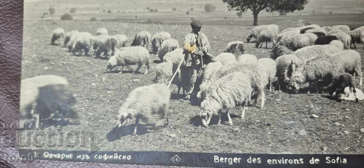 Аукцион СОФИЯ - ОПЕРАТОР НА БИОЛОГИЧНА ЕДИНИЦА Аукцион СОФИЯ - ОПЕРАТОР НА БИОЛОГИЧНА ЕДИНИЦА