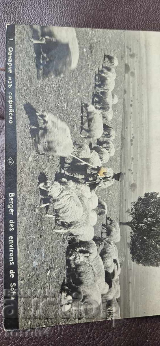 СОФИЯ - ОПЕРАТОР НА БИОЛОГИЧНА ЕДИНИЦА - 7 СОФИЯ - ОПЕРАТОР НА БИОЛОГИЧНА ЕДИНИЦА - 7