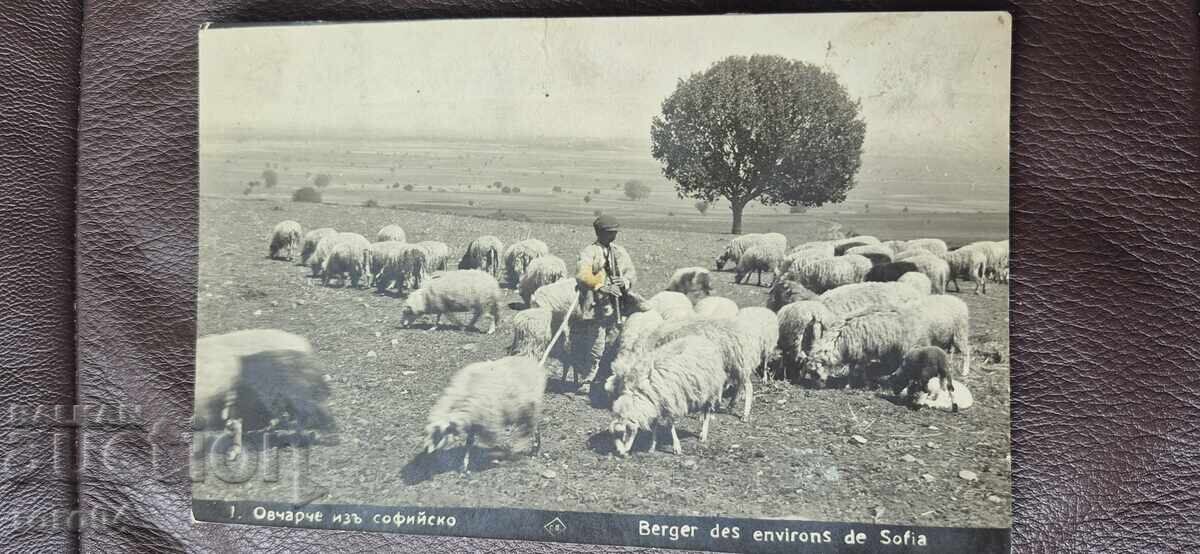 СОФИЯ - ОПЕРАТОР НА БИОЛОГИЧНА ЕДИНИЦА СОФИЯ - ОПЕРАТОР НА БИОЛОГИЧНА ЕДИНИЦА