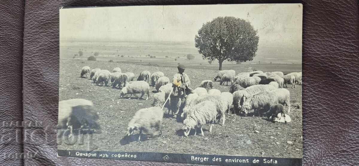 ΣΟΦΙΑ - ΧΕΙΡΙΣΤΗΣ ΒΙΟΛΟΓΙΚΗΣ ΜΟΝΑΔΑΣ