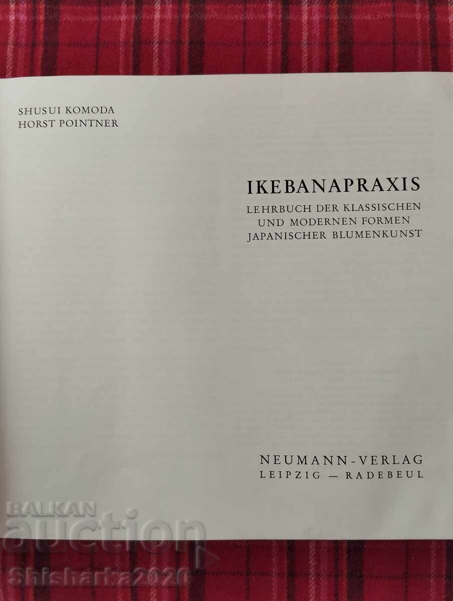 Ikebana Practice with price 15.00 BGN | € 7.67