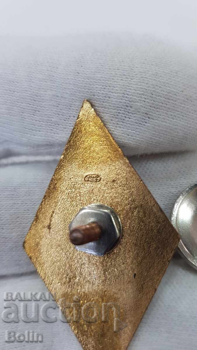 Επιχρυσωμένο σήμα ΕΣΣΔ για αποφοίτηση από πανεπιστήμιο - 7