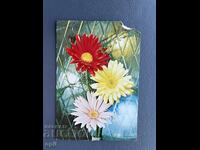 Παλιά Ευχετήρια Κάρτα - Συρία