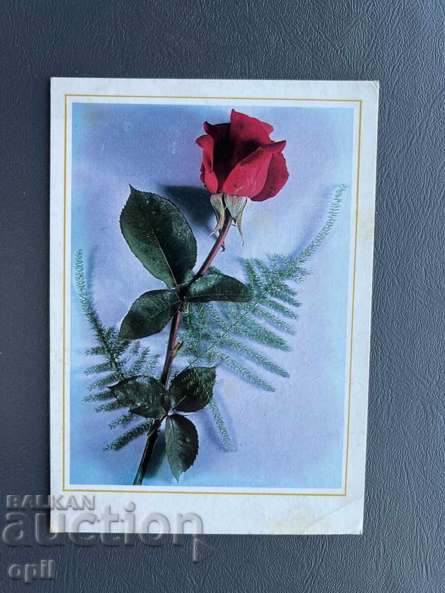 Παλιά Ευχετήρια Κάρτα - Βουλγαρία Παλιά Ευχετήρια Κάρτα - Βουλγαρία