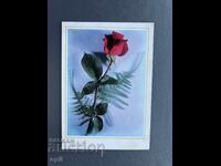 Παλιά Ευχετήρια Κάρτα - Βουλγαρία