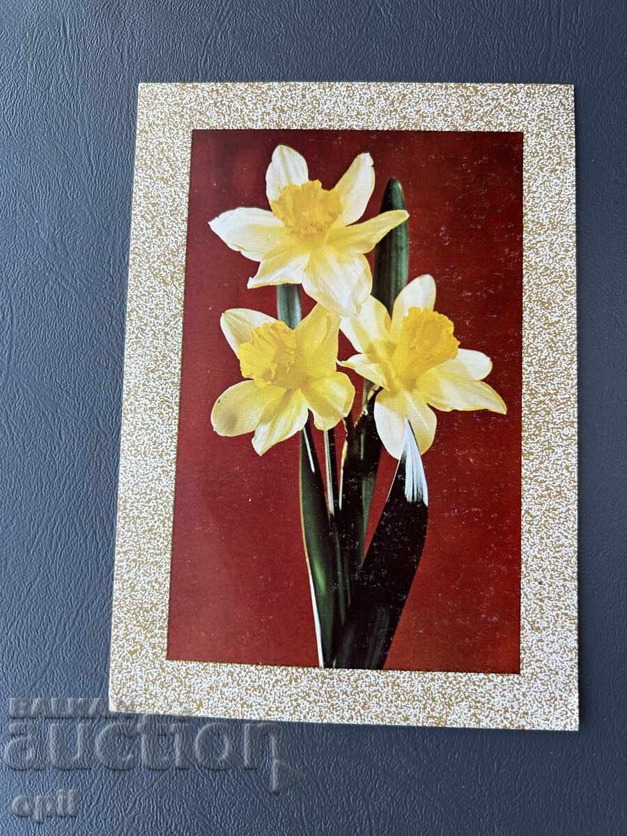 Old Postcard - Greeting Card - Bulgaria 1985 Old Postcard - Greeting Card - Bulgaria 1985