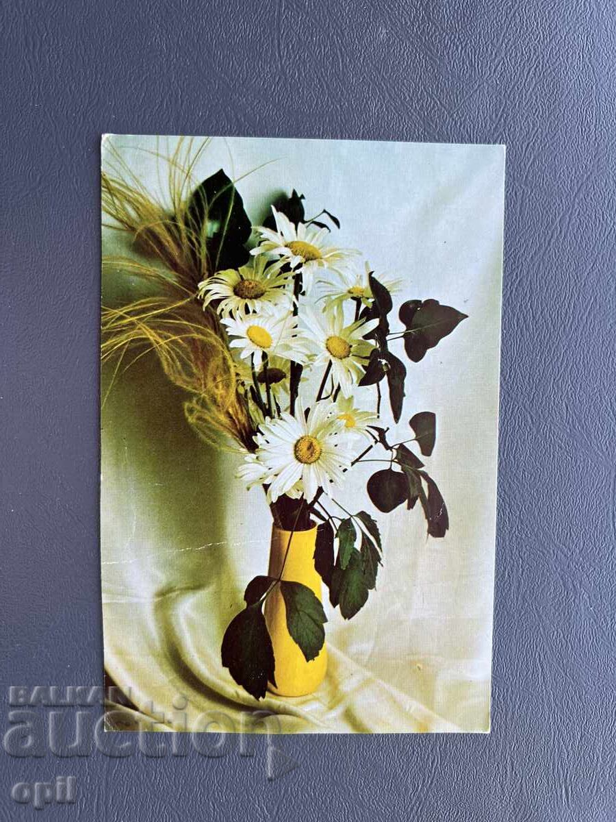 Παλιά Ευχετήρια Κάρτα - Βουλγαρία 1984