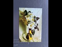 Παλιά Ευχετήρια Κάρτα - Βουλγαρία 1984