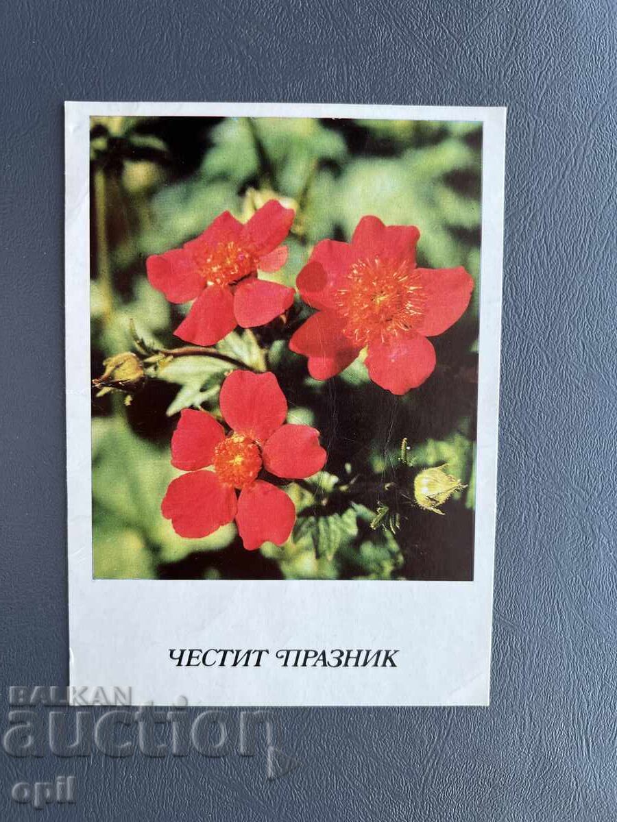 Old Postcard Greeting - Bulgaria 1981