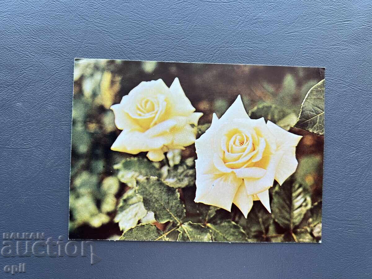 Carte poștală veche de felicitare - Bulgaria