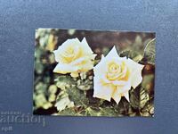 Παλιά Ευχετήρια Κάρτα - Βουλγαρία