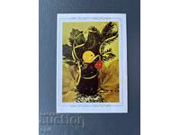 Old Postcard - Greeting Card - Bulgaria 1983