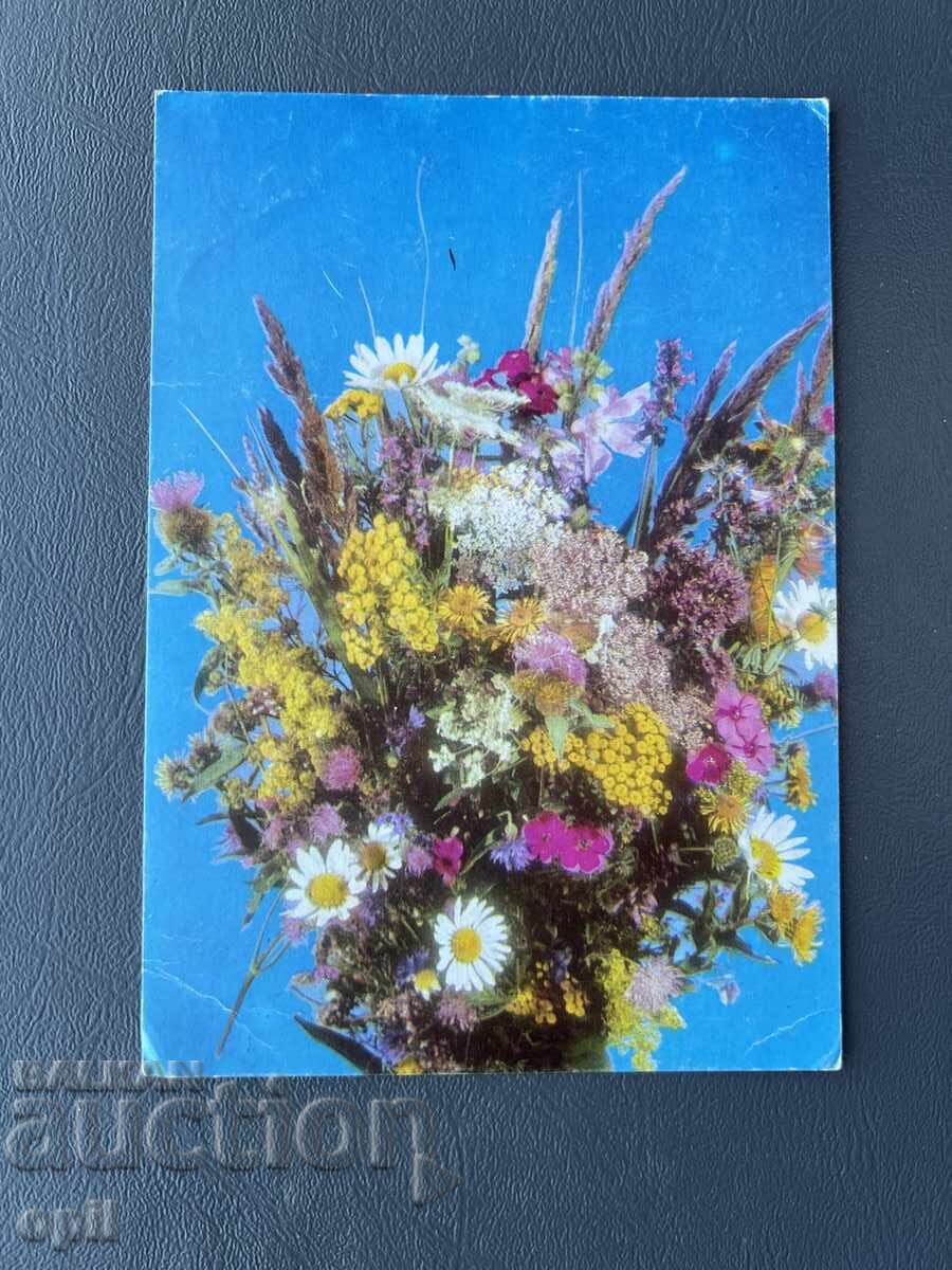 Παλιά Ευχετήρια Κάρτα - Βουλγαρία Παλιά Ευχετήρια Κάρτα - Βουλγαρία