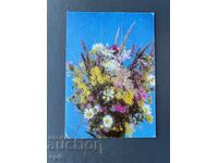 Παλιά Ευχετήρια Κάρτα - Βουλγαρία