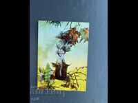 Old Postcard Greeting - Bulgaria 1982