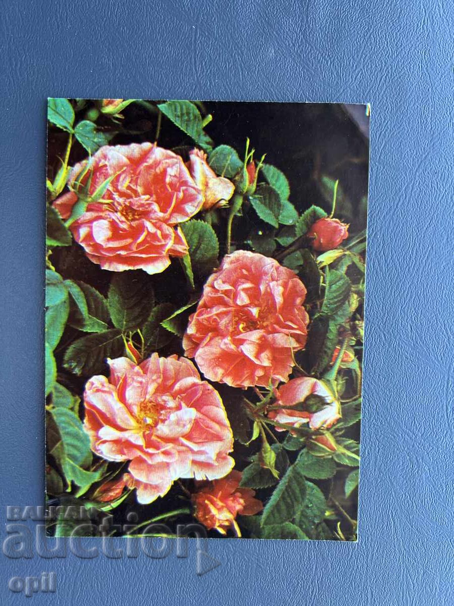 Παλιά Ευχετήρια Κάρτα - Βουλγαρία Παλιά Ευχετήρια Κάρτα - Βουλγαρία