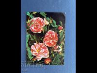 Παλιά Ευχετήρια Κάρτα - Βουλγαρία