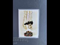 Carte Poștală Veche Felicitare - Bulgaria 1981