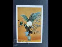 Old Postcard - Greeting Card - Bulgaria 1983