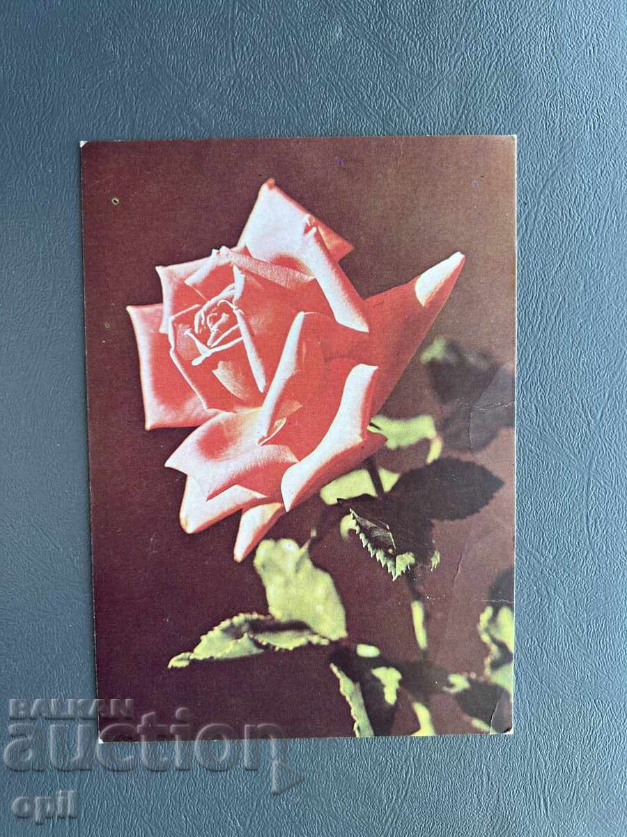 Παλιά Ευχετήρια Κάρτα - Βουλγαρία 1981