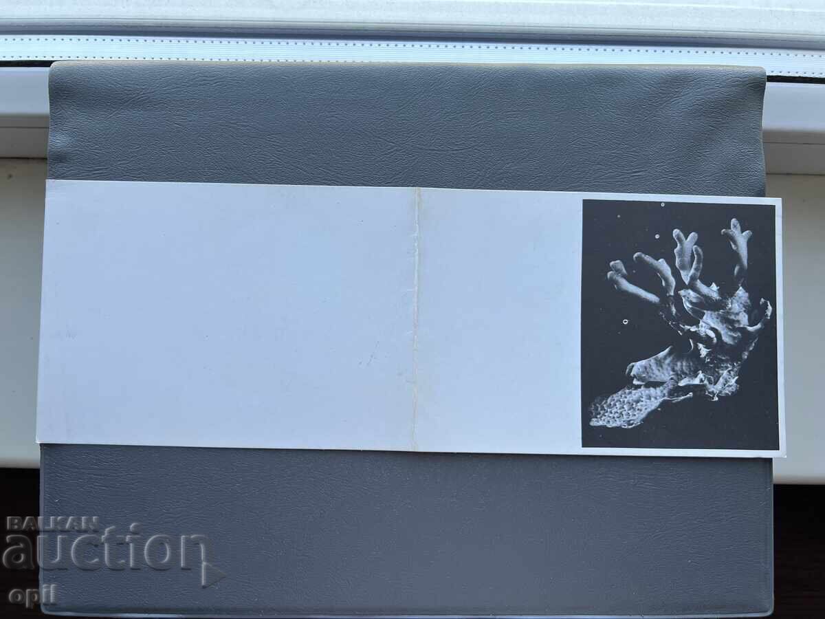 Old Postcard Greeting - Bulgaria 1980