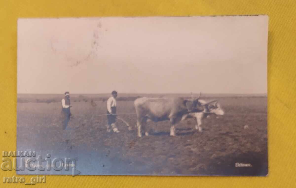 Стара  снимка, картичка .