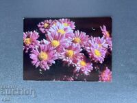 Old Postcard - Greeting Card - Bulgaria