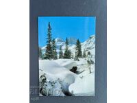 Old Postcard - Greeting - Bulgaria - Rila