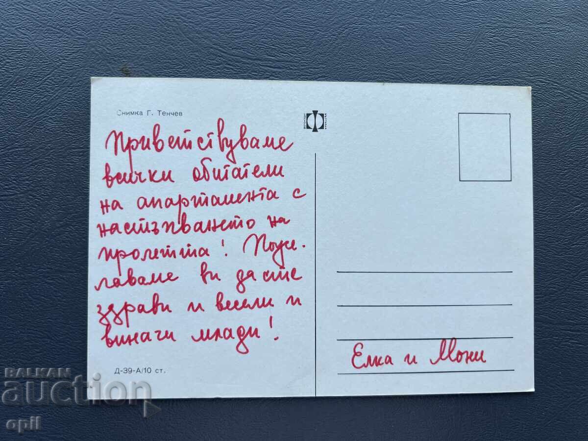 Old Postcard - Greeting Card - Bulgaria with price 0.40 BGN | € 0.20 Old Postcard - Greeting Card - Bulgaria with price 0.40 BGN | € 0.20